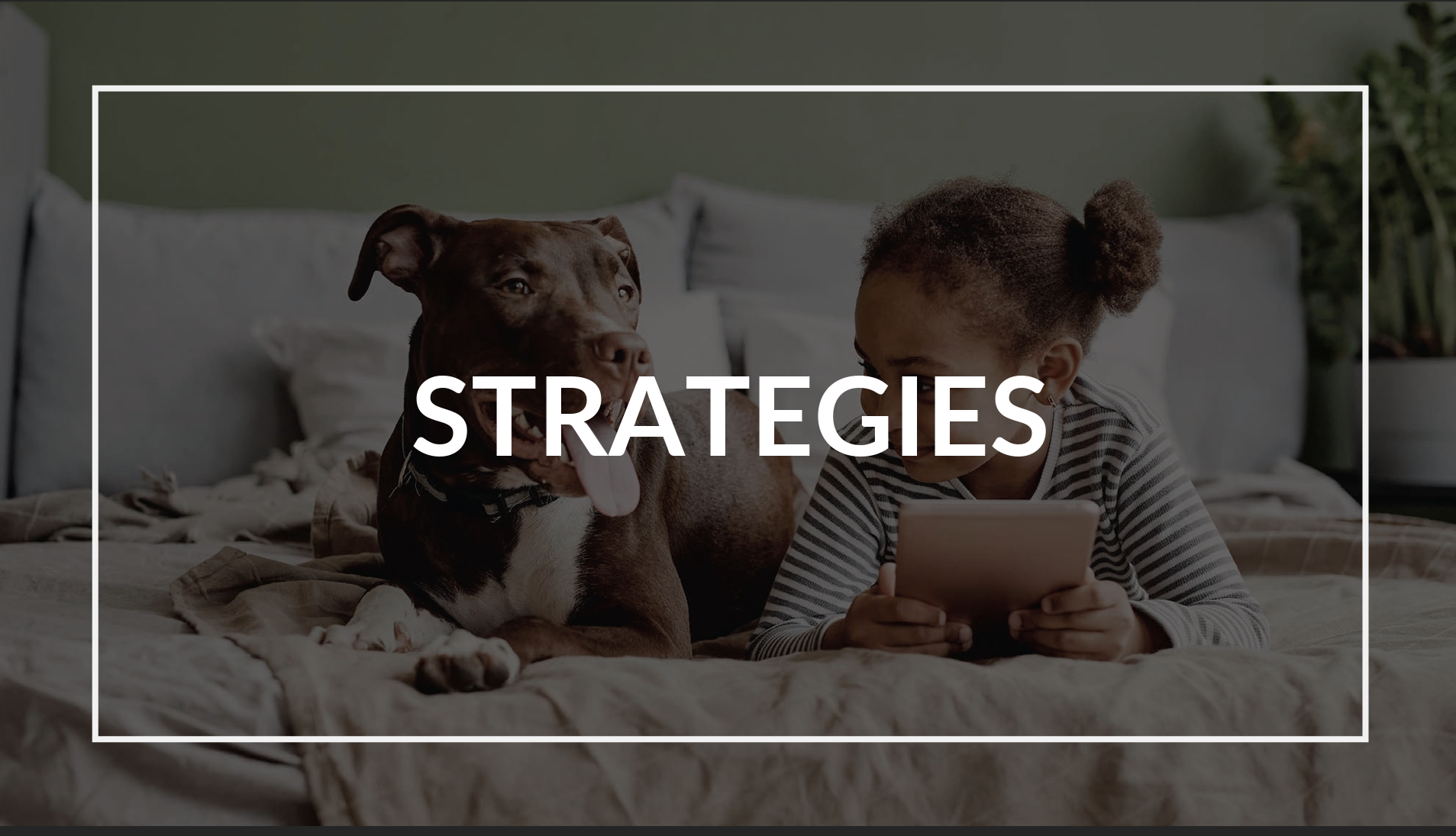 spay_la_strategies